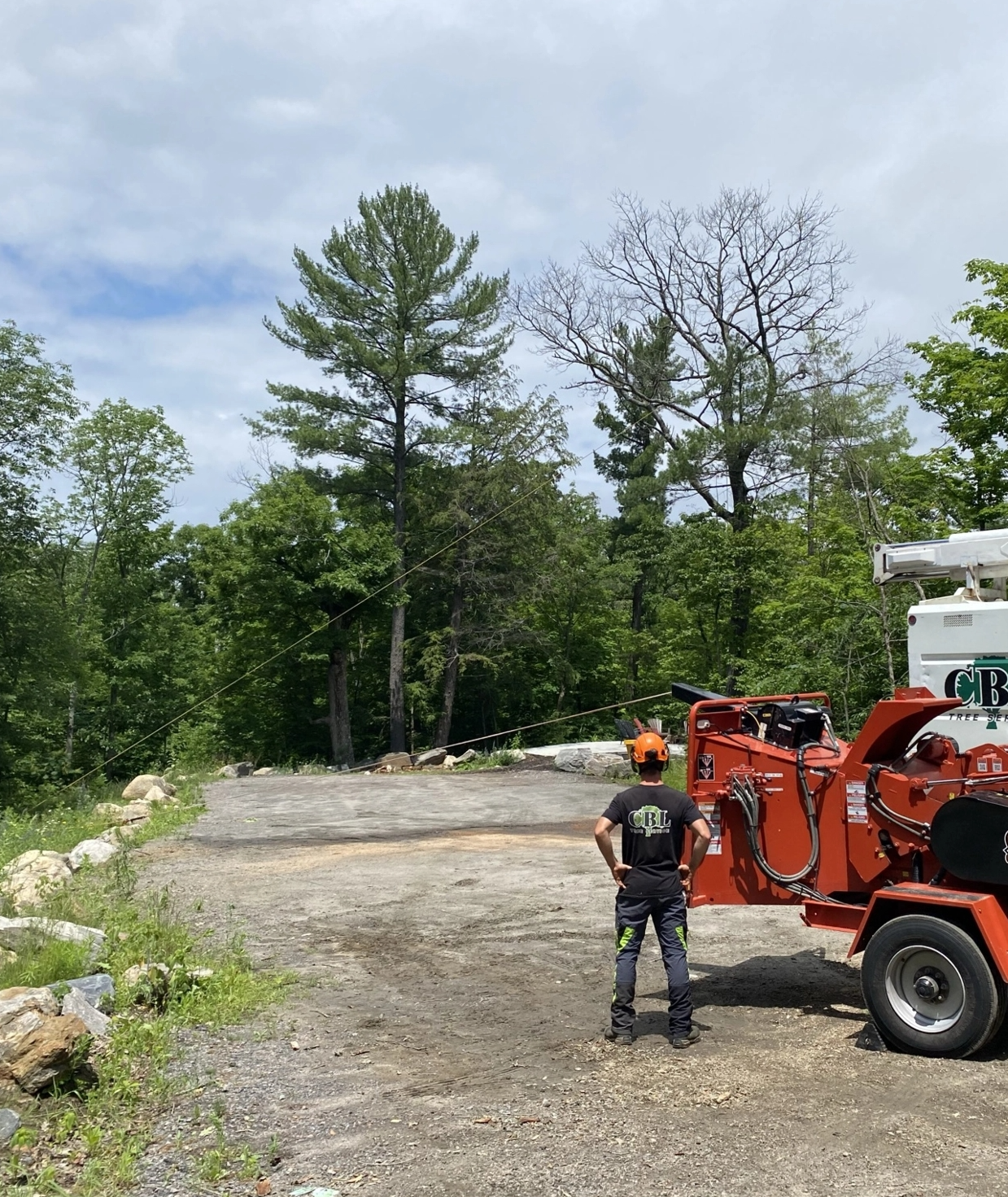 Cbl employee besides tree cutting machine cropped