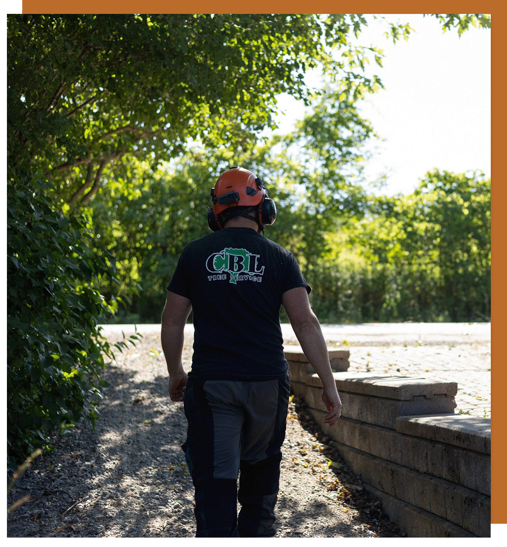Cbl tree worker
