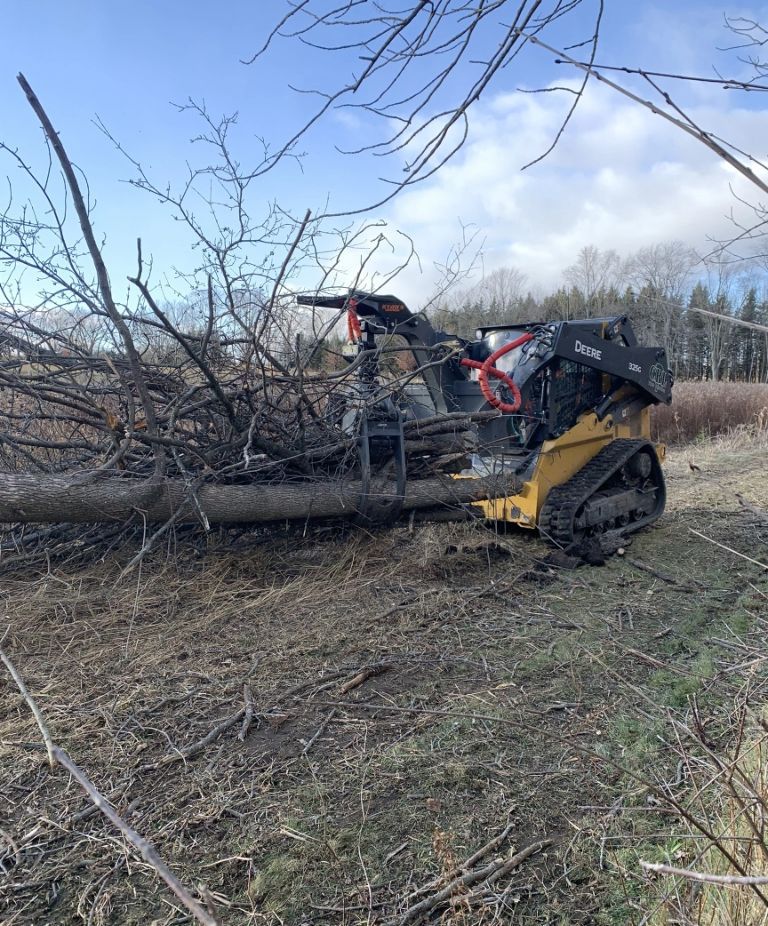 Commercial dead wood removal