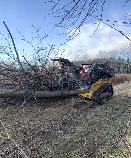 Deadwood removal thumbnail