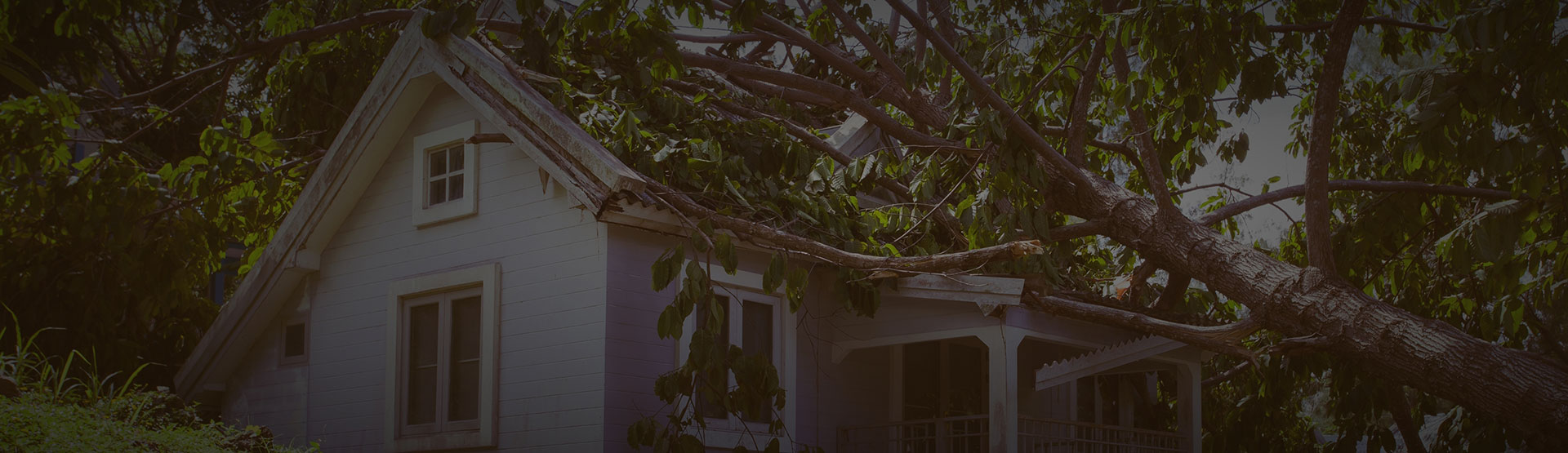 Emergency tree service banner