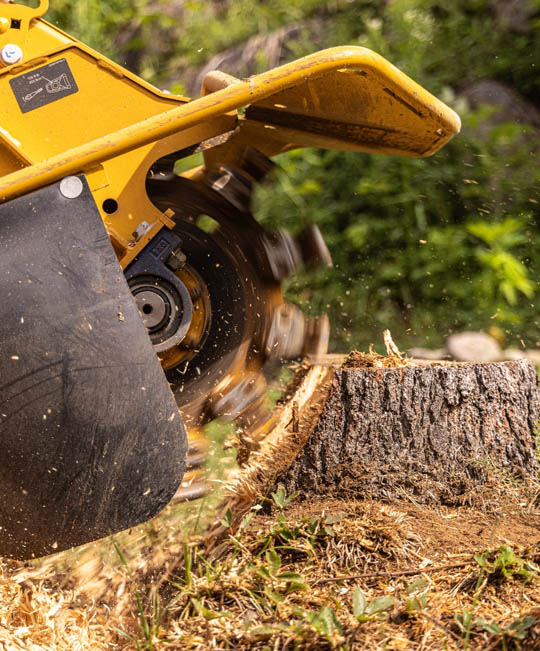 Stump removal thumbnail