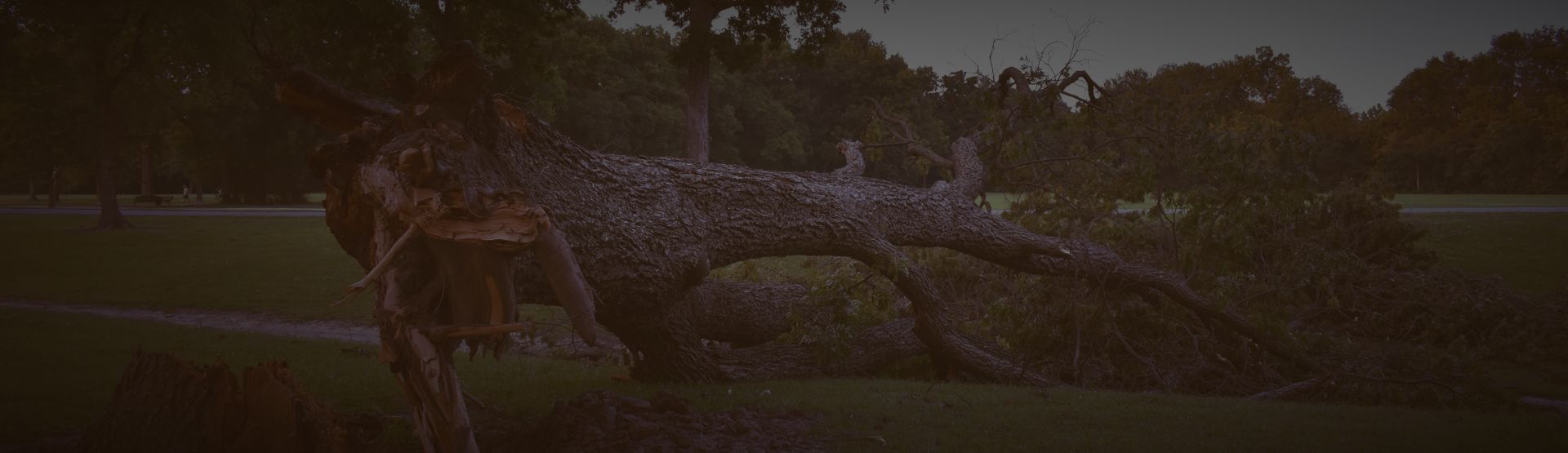 Storm cleanup banner