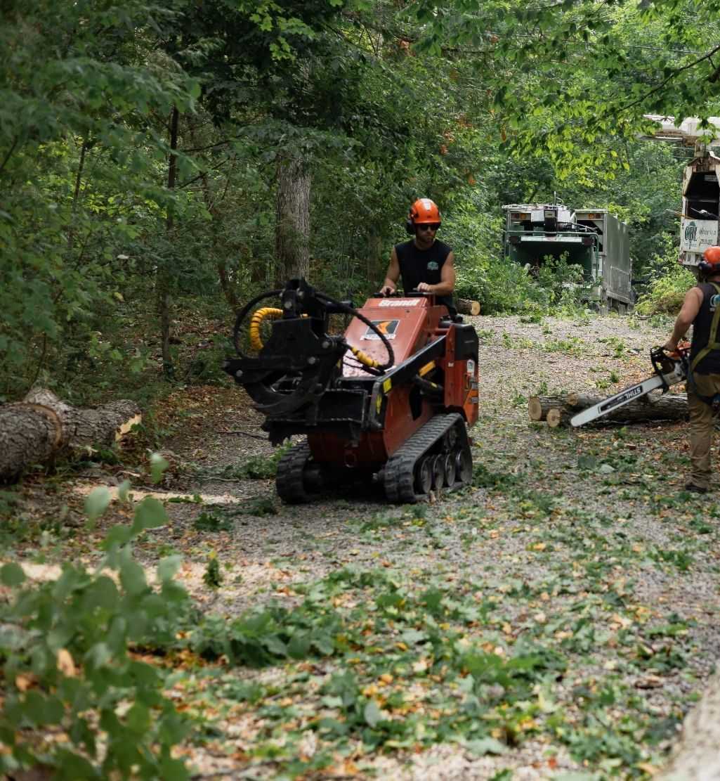 Storm clean up in process