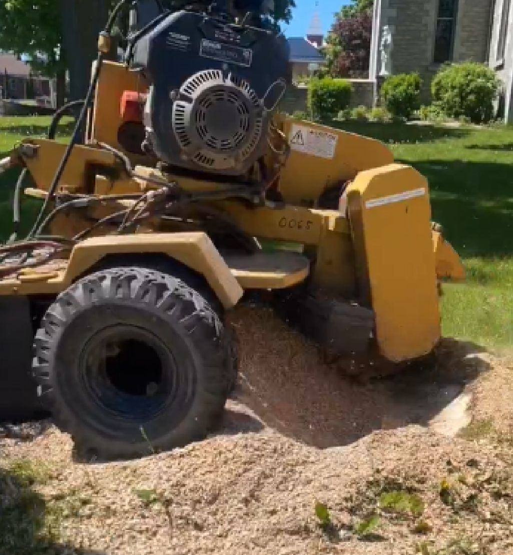 Stump grinding timelapse resized