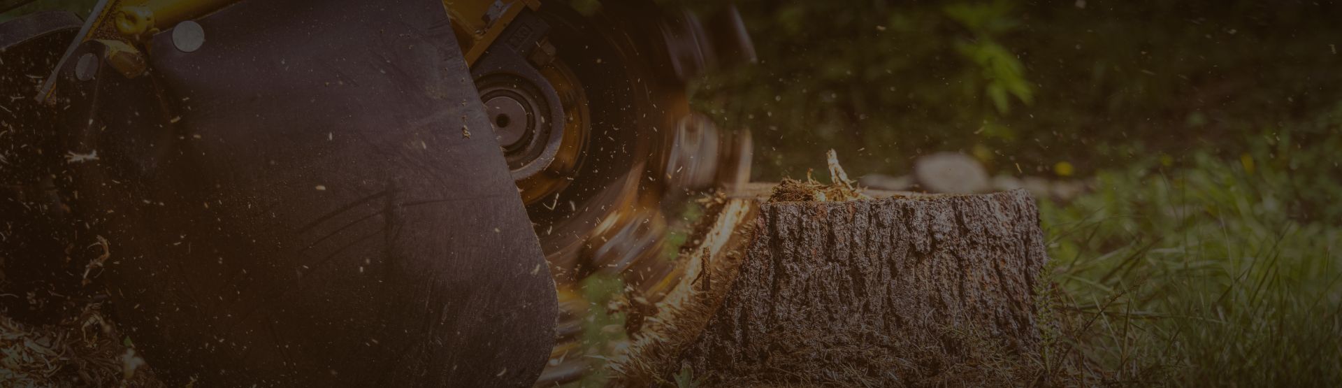 Stump removal banner resized