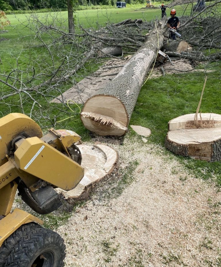 Commercial stump20removal resized