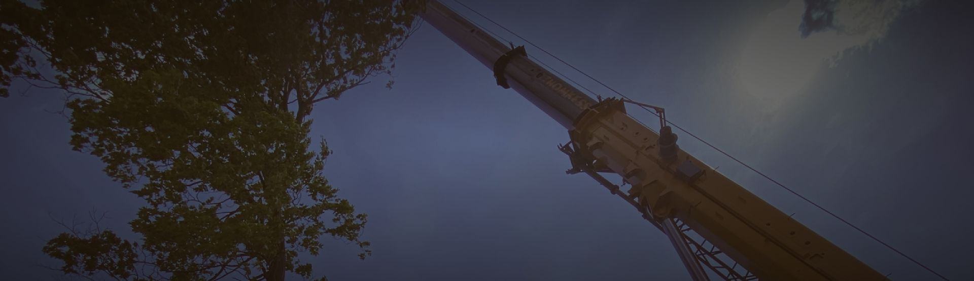 Crane assited tree removal banner resized