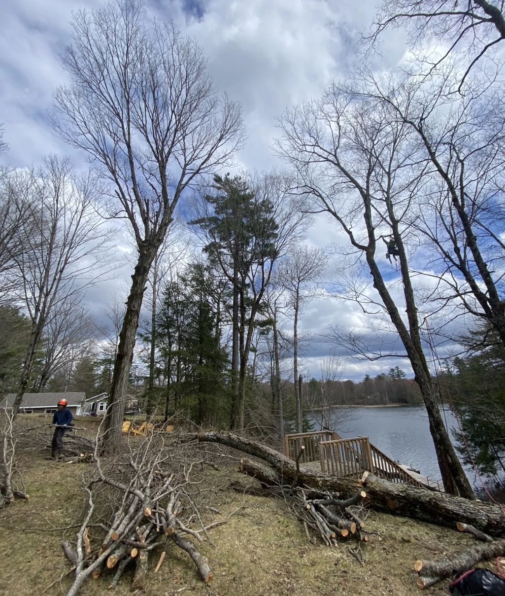 Deadwood intro resized