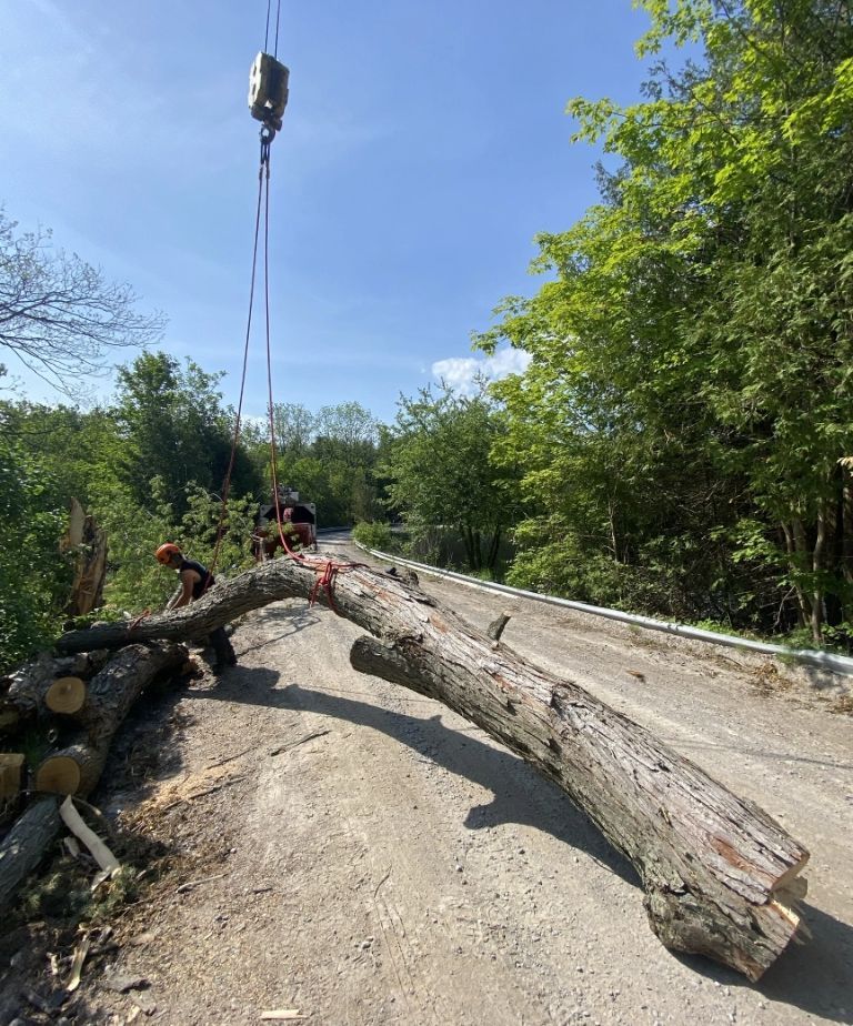 Doad barrier removal