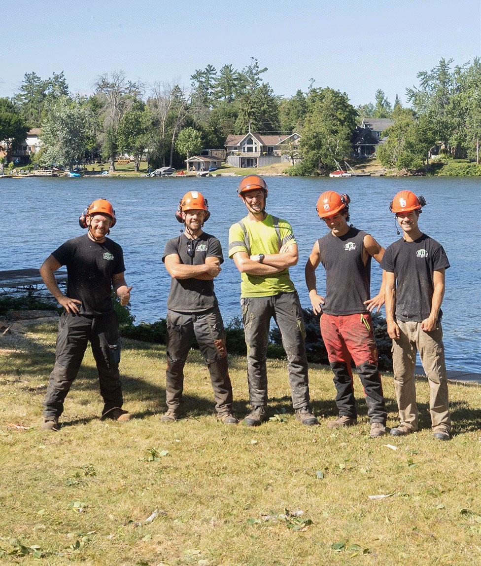 Experienced cdbl tree team