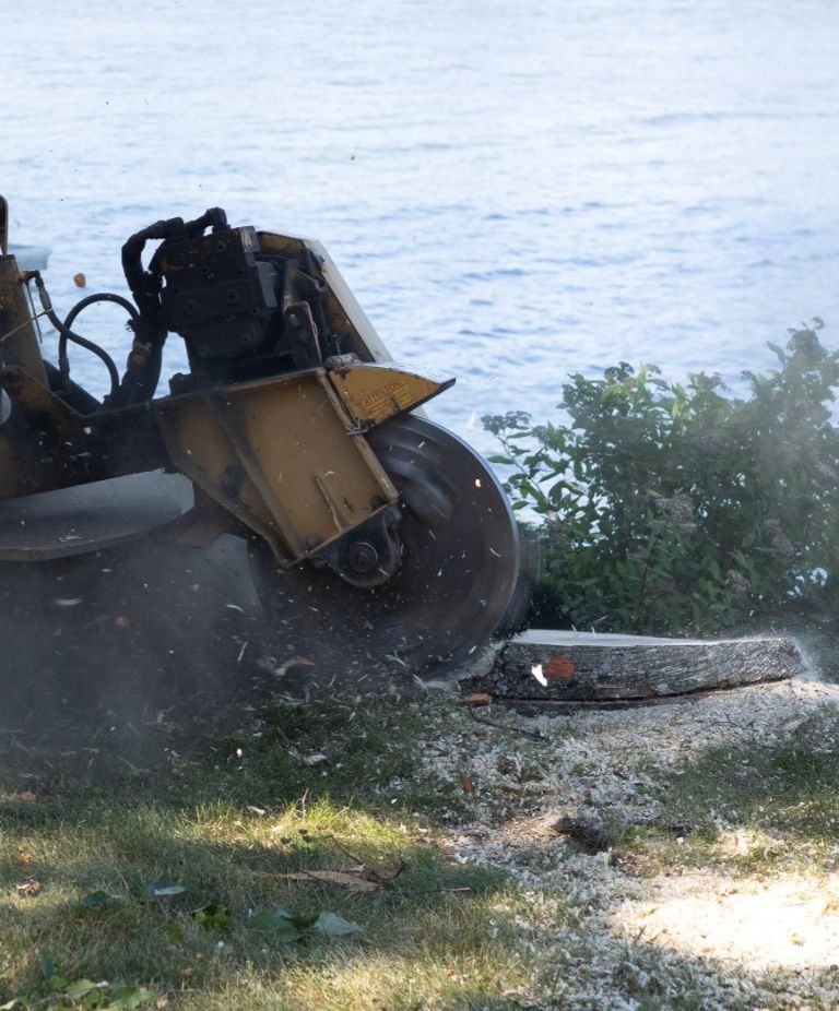 Large stump removal resized