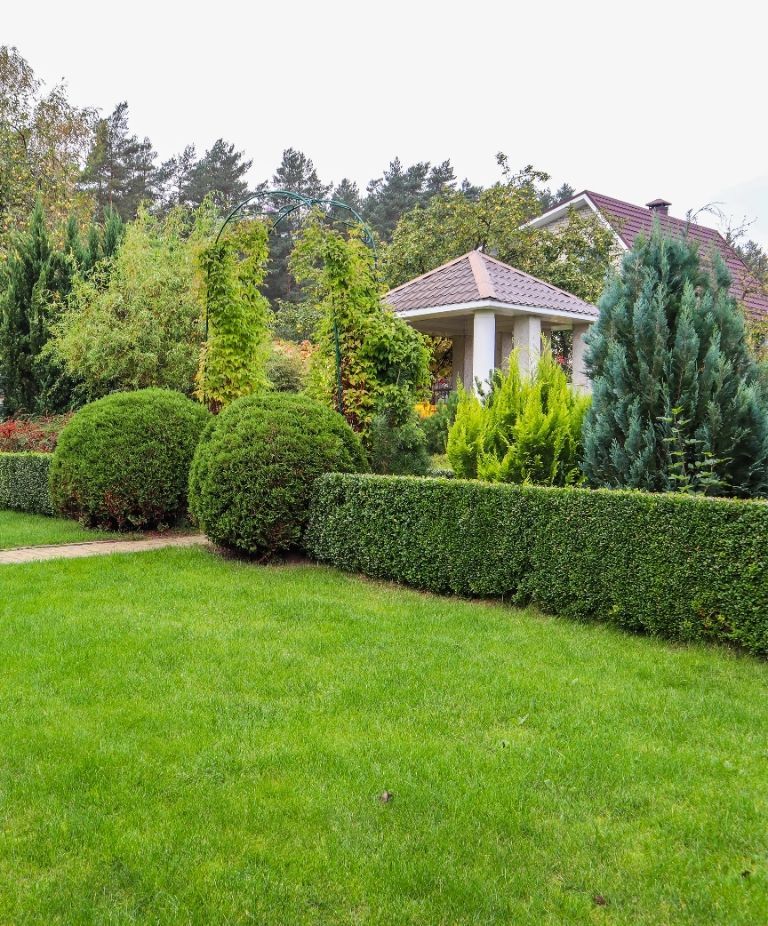 Residential hedge shrub pruning resized