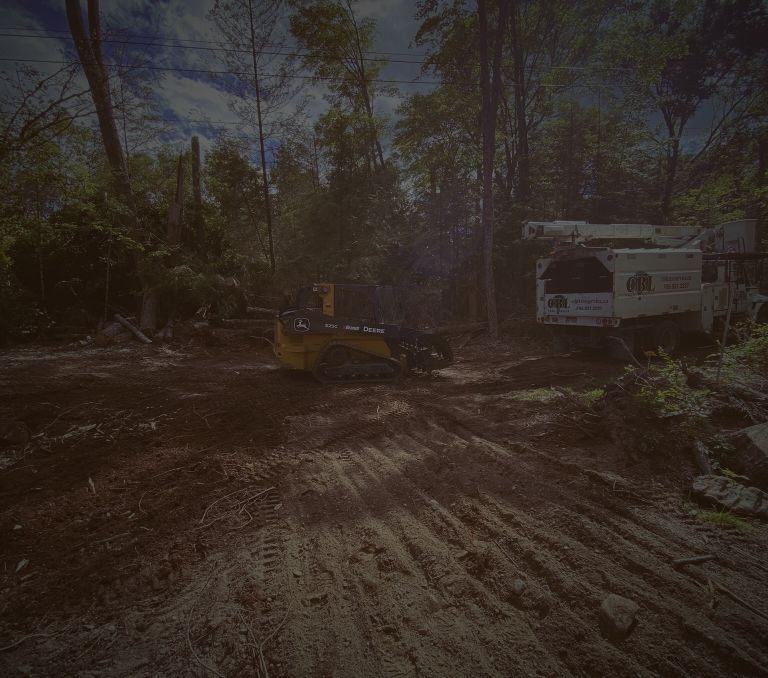 Lot clearing banner sm