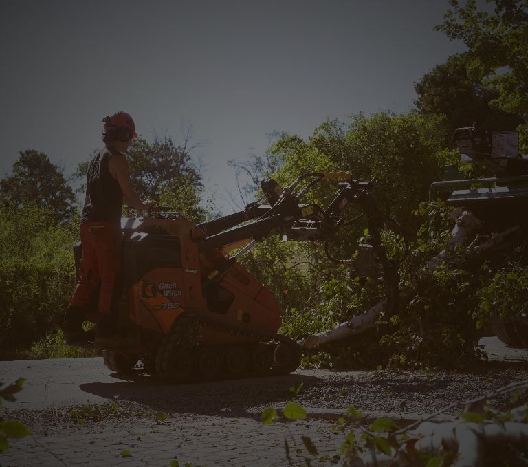 Our service banner sm