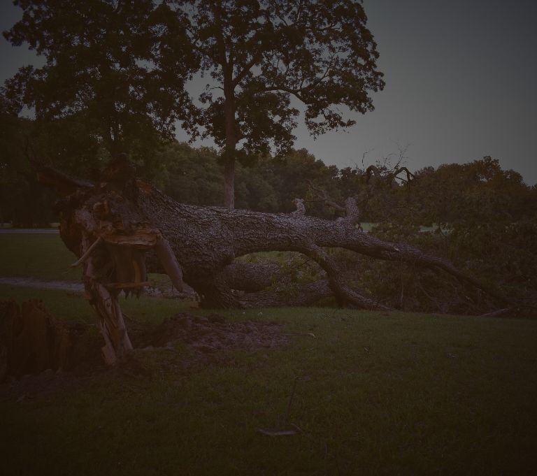 Storm cleanup banner sm