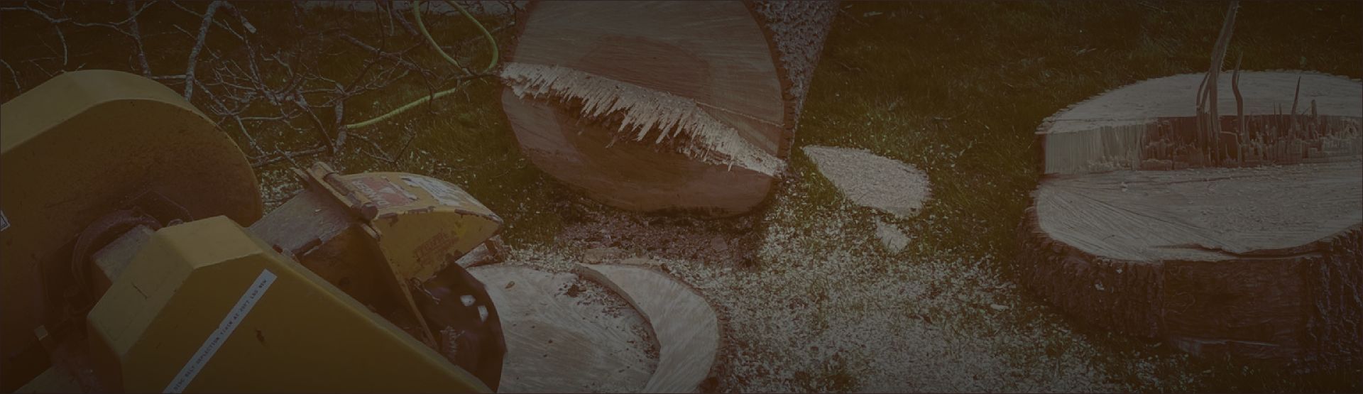 Stump grinding in process resized