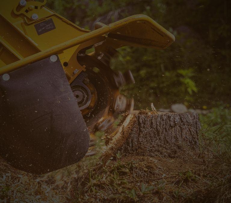 Stump removal banner sm