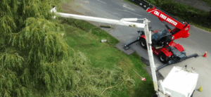 How Much Does Tree Service Cost