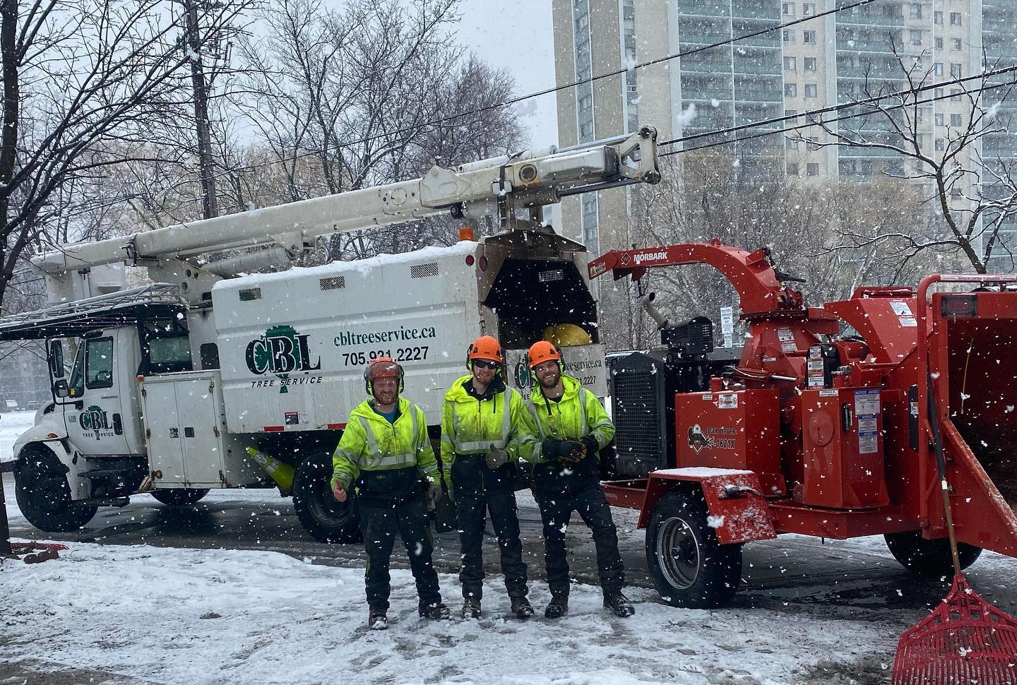 Benefits of Hiring a Certified & Insured Tree Service Company in Peterborough County