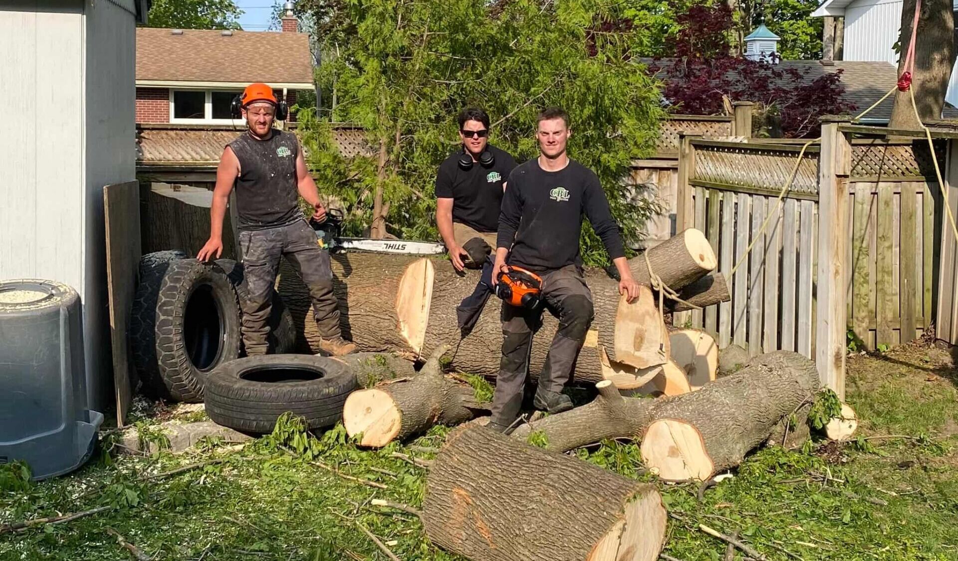 Questions to Ask Before Hiring a Tree Service Company in Peterborough and Kawarthas